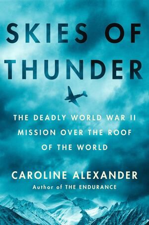 Skies Of Thunder HC