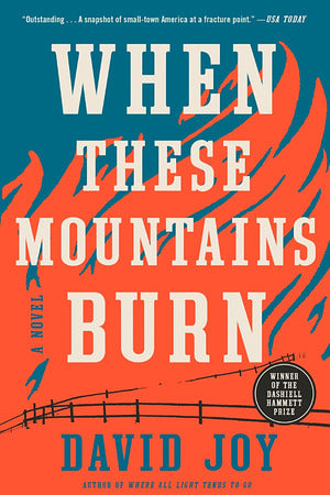 Joy - When These Mountains Burn, paperback