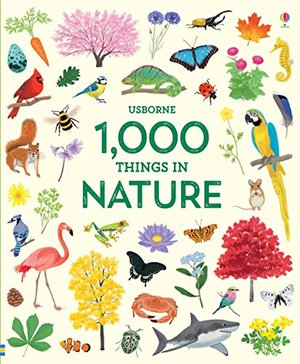 1000 Things in Nature - board book (10" x 12")