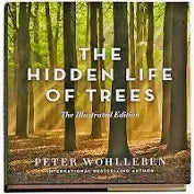 Hidden Life Of Trees (Illustrated Edition) HC