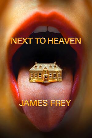 Frey - Next to Heaven, hardcover