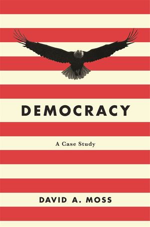 Democracy - A Case Study PB