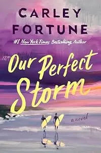 Our Perfect Storm HC