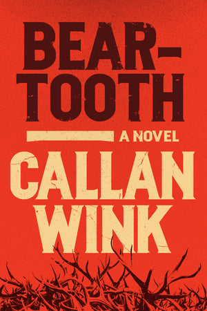 Wink - Beartooth, hardcover