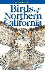Birds Of Northern California PB