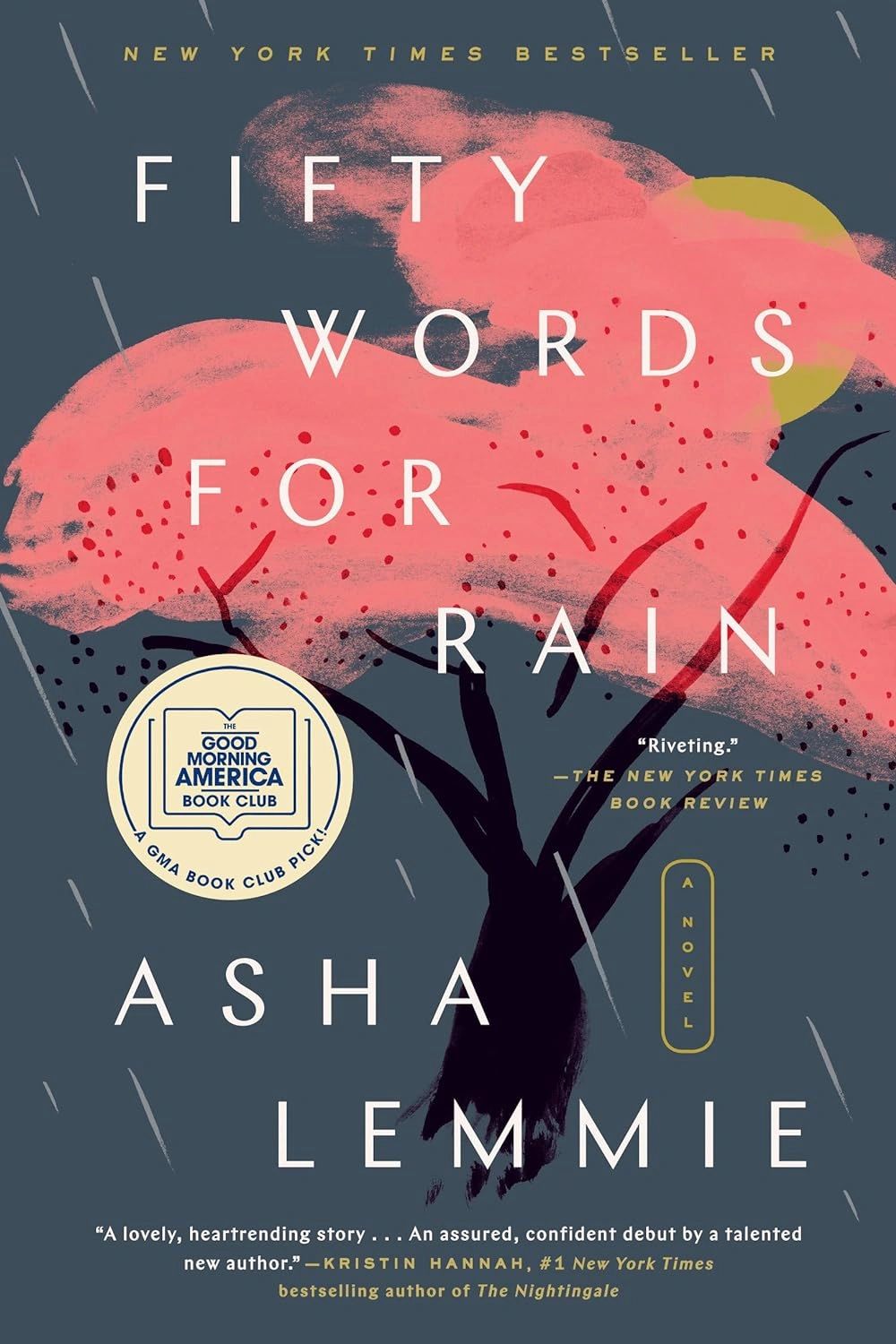 Fifty Words For Rain (PB)