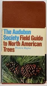 National Audubon Society Field Guide To North American Trees