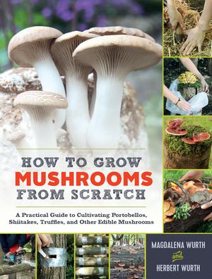 How To Grow Mushrooms From Scratch  HC