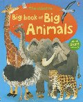 Big Book of Big Animals (hb)