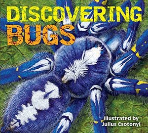 Discovering Bugs (hb)