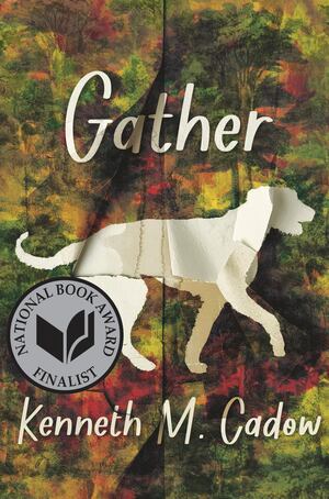 Gather (hb)