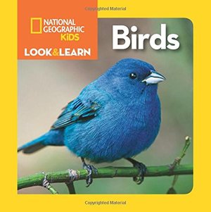 National Geographic Kids Look and Learn: Birds - board book