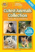 Cutest Animal Collection (pb)