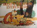 Calvin and Hobbes: There's Treasure Everywhere (pb)