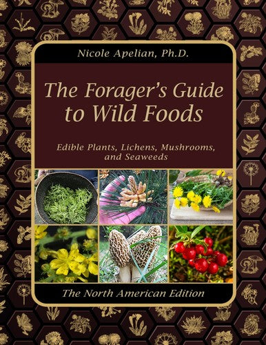 Forager's Guide to Wild Foods  PB