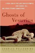 Ghosts of Vesuvius: A New Look at the Last Days of Pompeii, How Towers Fall, and Other Strange Connections PB