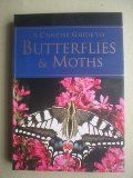 Pocket Guide To Butterflies and Moths
