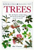Trees HC