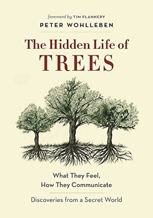 Hidden Life Of Trees HC